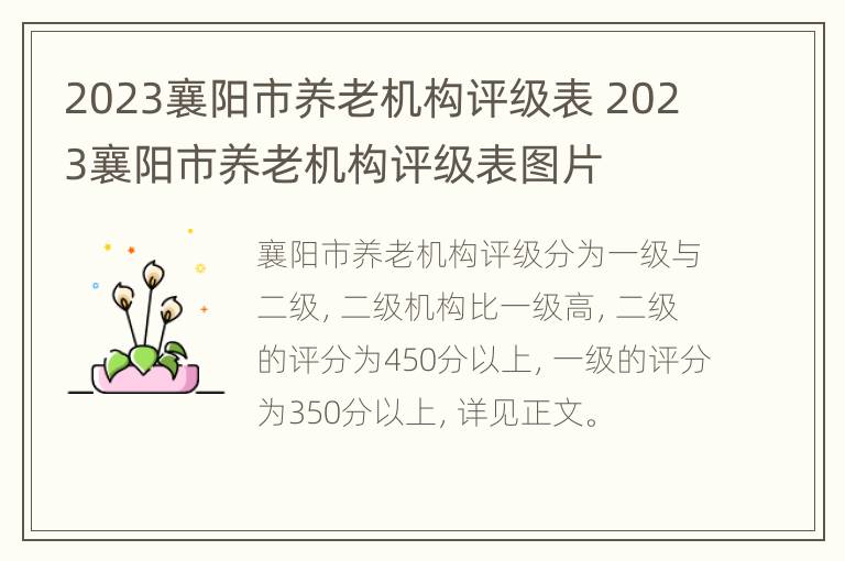 2023襄阳市养老机构评级表 2023襄阳市养老机构评级表图片