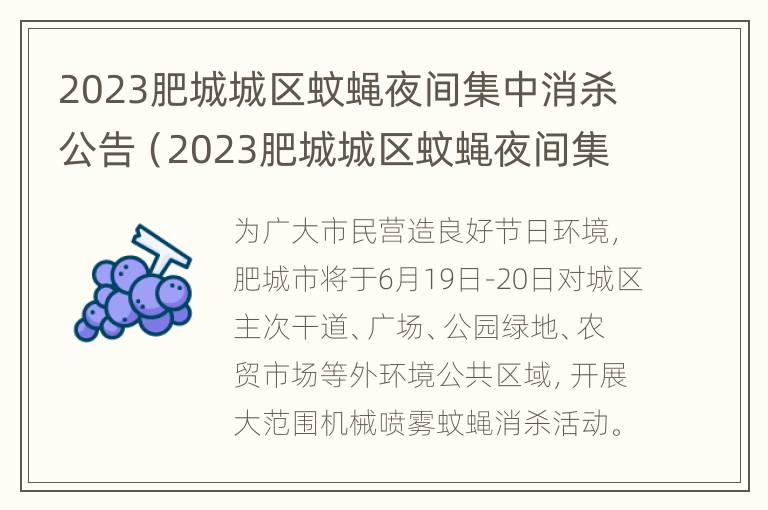 2023肥城城区蚊蝇夜间集中消杀公告（2023肥城城区蚊蝇夜间集中消杀公告公布）