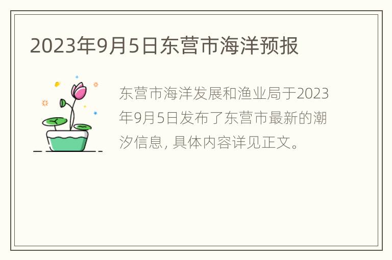 2023年9月5日东营市海洋预报