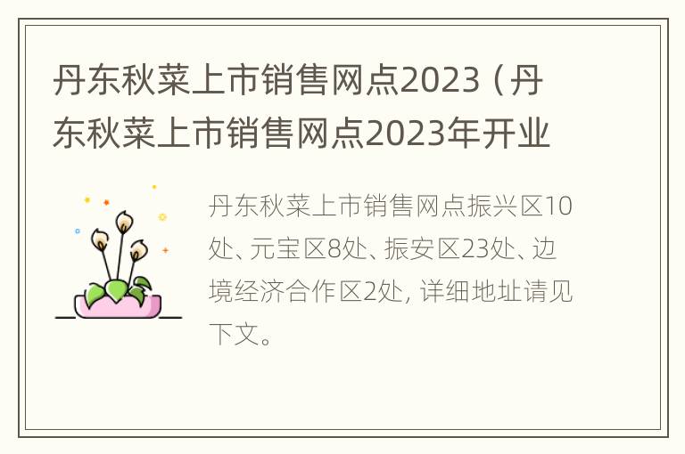 丹东秋菜上市销售网点2023（丹东秋菜上市销售网点2023年开业）