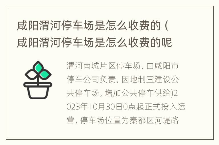 咸阳渭河停车场是怎么收费的（咸阳渭河停车场是怎么收费的呢）