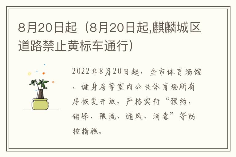 8月20日起（8月20日起,麒麟城区道路禁止黄标车通行）