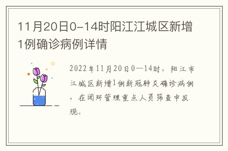 11月20日0-14时阳江江城区新增1例确诊病例详情