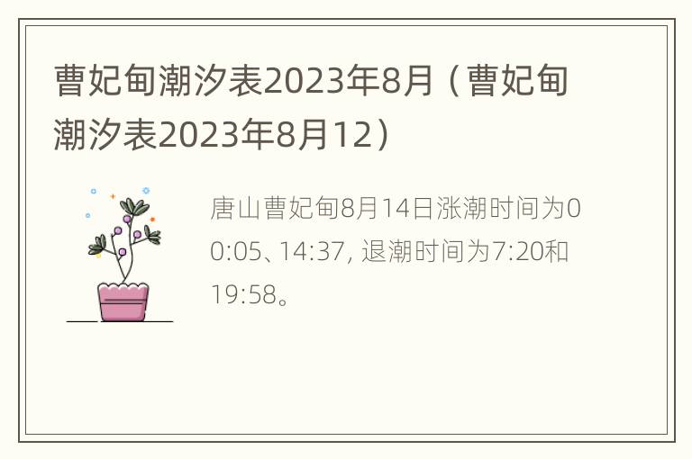 曹妃甸潮汐表2023年8月（曹妃甸潮汐表2023年8月12）