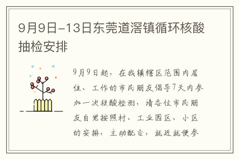 9月9日-13日东莞道滘镇循环核酸抽检安排