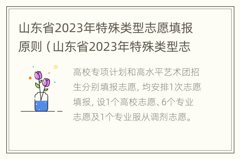 山东省2023年特殊类型志愿填报原则（山东省2023年特殊类型志愿填报原则是什么）