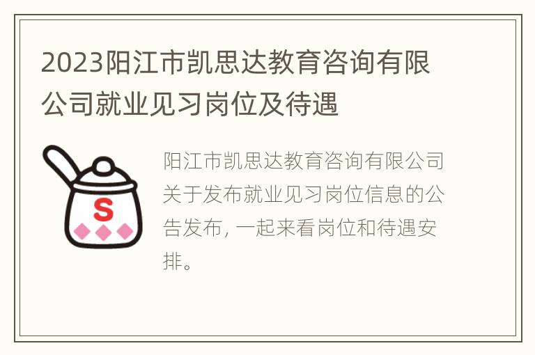 2023阳江市凯思达教育咨询有限公司就业见习岗位及待遇