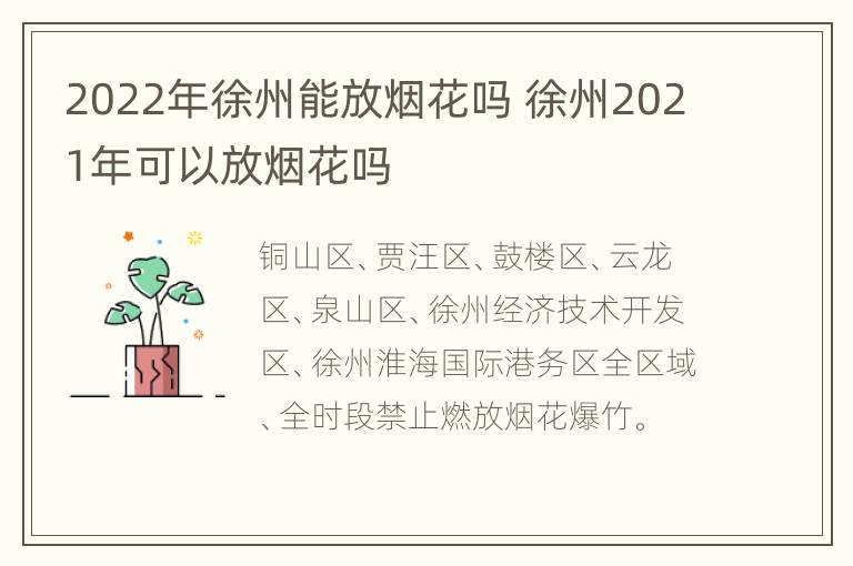 2022年徐州能放烟花吗 徐州2021年可以放烟花吗