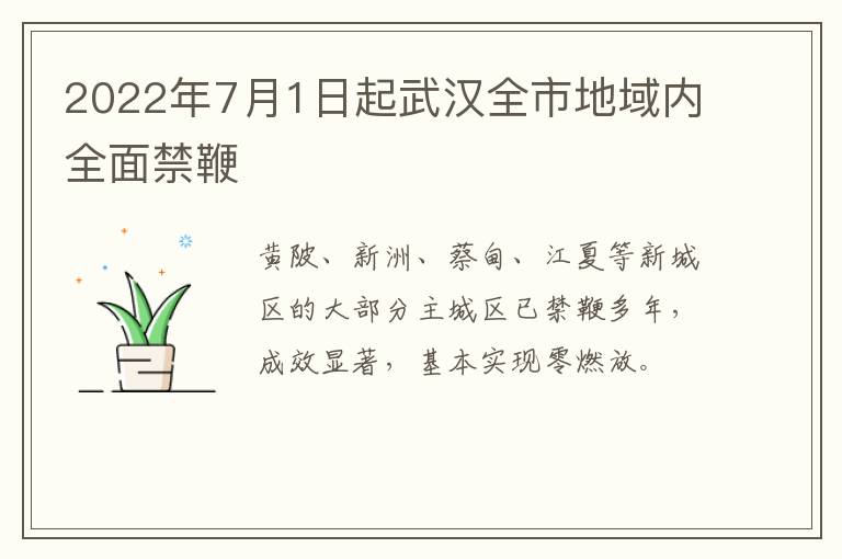 2022年7月1日起武汉全市地域内全面禁鞭