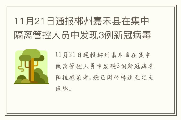 11月21日通报郴州嘉禾县在集中隔离管控人员中发现3例新冠病毒阳性感染者