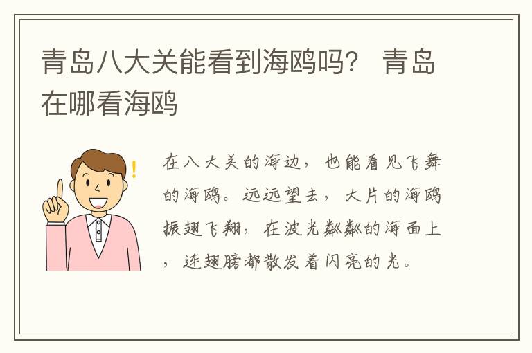 青岛八大关能看到海鸥吗？ 青岛在哪看海鸥