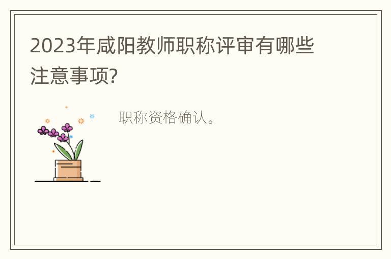 2023年咸阳教师职称评审有哪些注意事项？