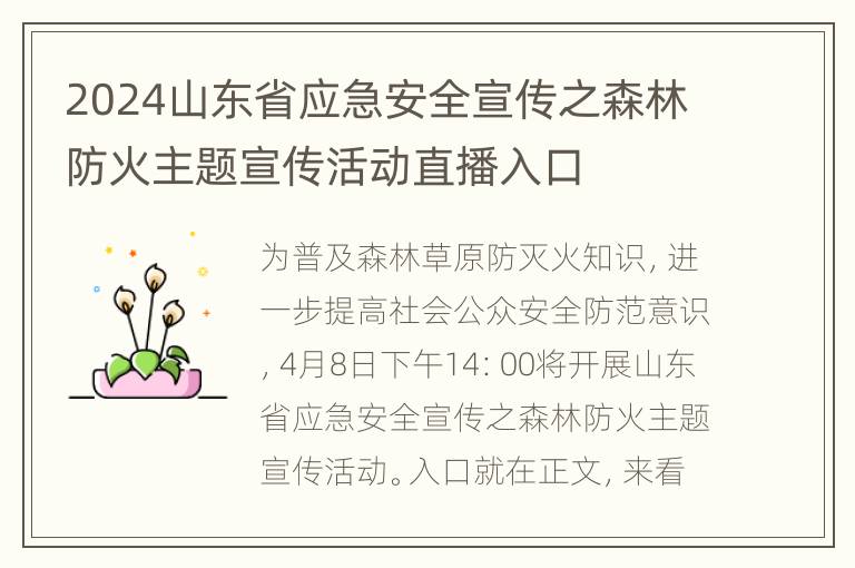 2024山东省应急安全宣传之森林防火主题宣传活动直播入口