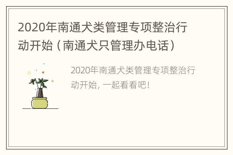 2020年南通犬类管理专项整治行动开始（南通犬只管理办电话）