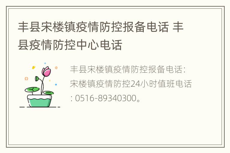 丰县宋楼镇疫情防控报备电话 丰县疫情防控中心电话