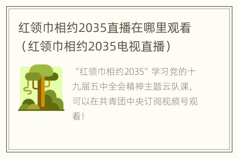 红领巾相约2035直播在哪里观看（红领巾相约2035电视直播）