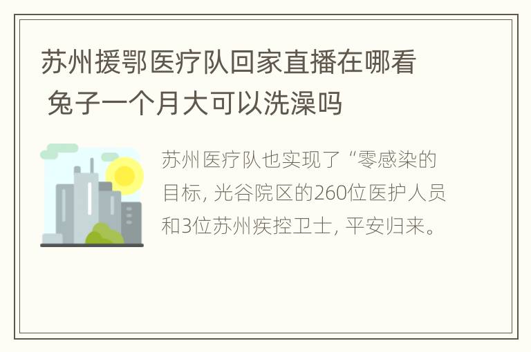 苏州援鄂医疗队回家直播在哪看 兔子一个月大可以洗澡吗