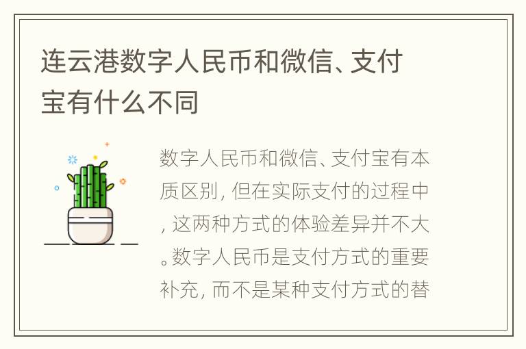 连云港数字人民币和微信、支付宝有什么不同