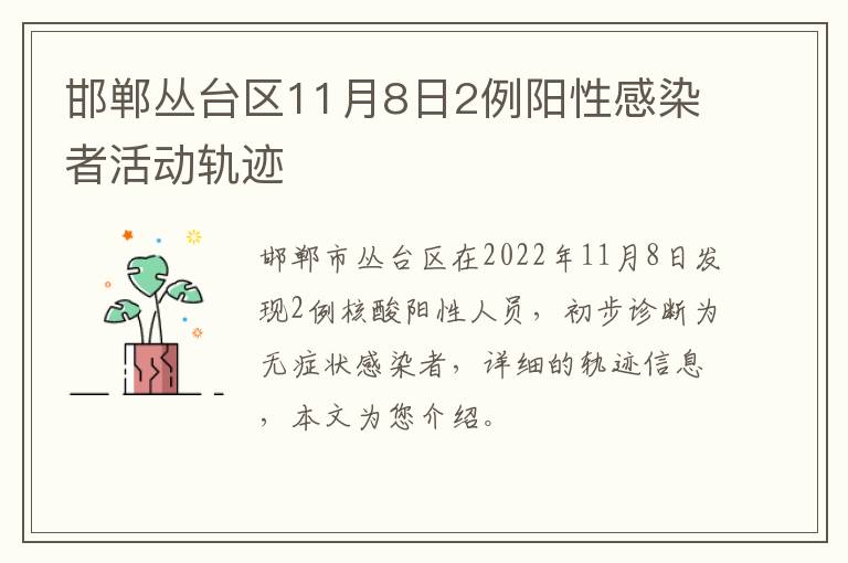 邯郸丛台区11月8日2例阳性感染者活动轨迹