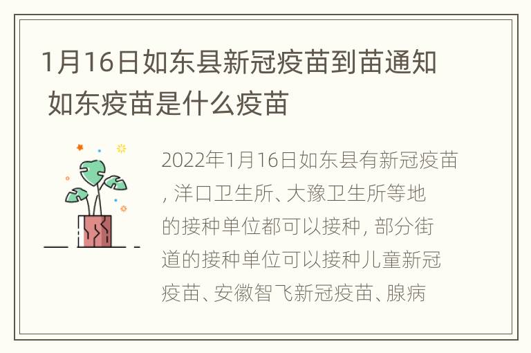 1月16日如东县新冠疫苗到苗通知 如东疫苗是什么疫苗