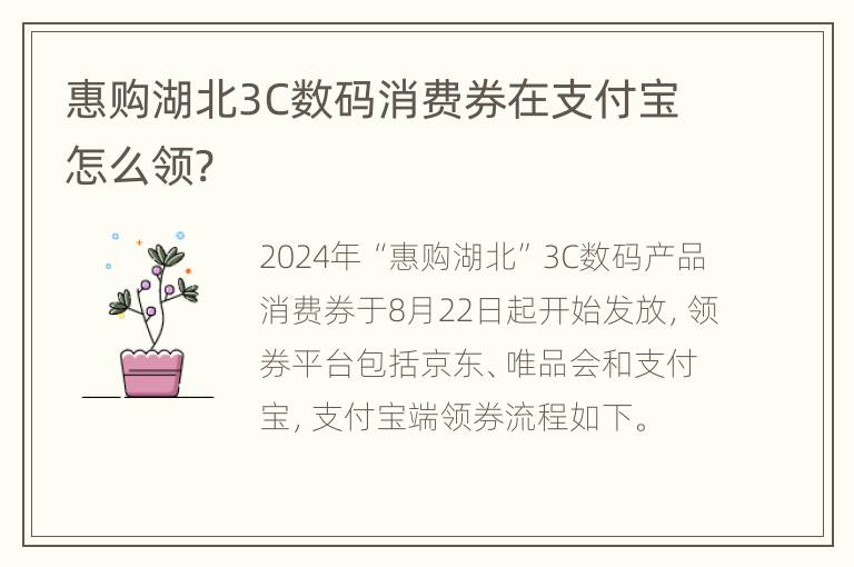 惠购湖北3C数码消费券在支付宝怎么领?