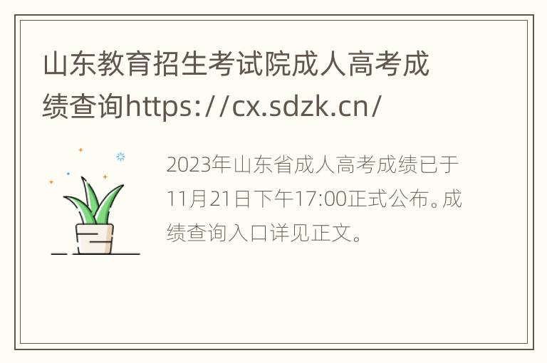 山东教育招生考试院成人高考成绩查询https://cx.sdzk.cn/