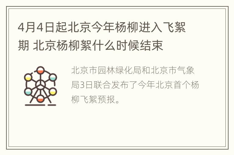 4月4日起北京今年杨柳进入飞絮期 北京杨柳絮什么时候结束