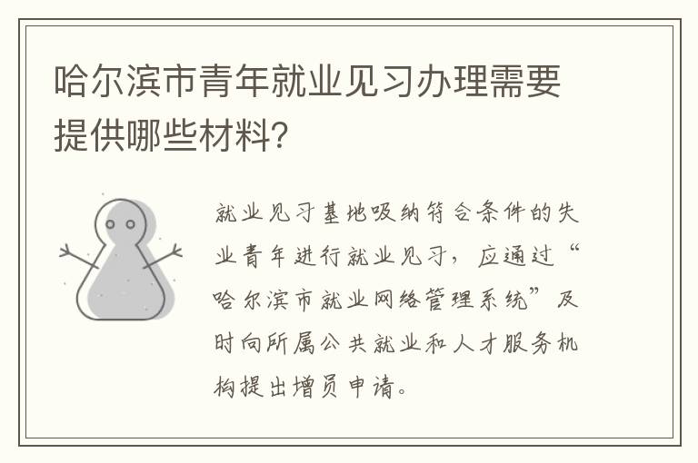 哈尔滨市青年就业见习办理需要提供哪些材料？