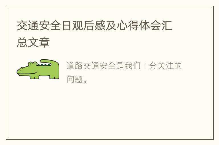 交通安全日观后感及心得体会汇总文章