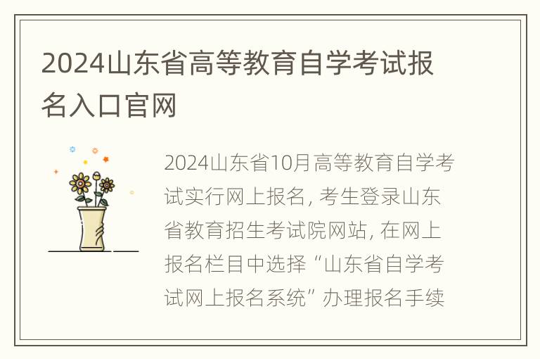 2024山东省高等教育自学考试报名入口官网