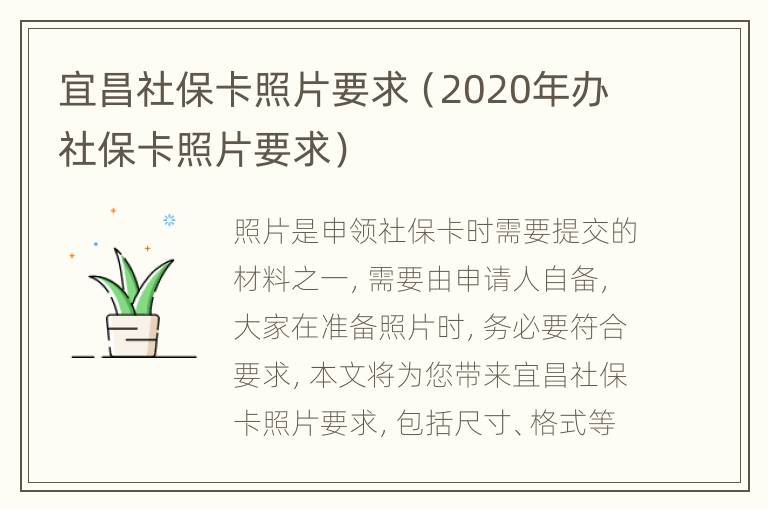 宜昌社保卡照片要求（2020年办社保卡照片要求）