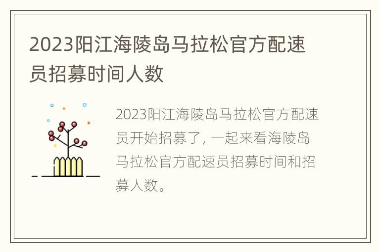 2023阳江海陵岛马拉松官方配速员招募时间人数