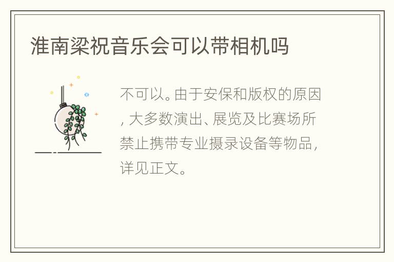 淮南梁祝音乐会可以带相机吗