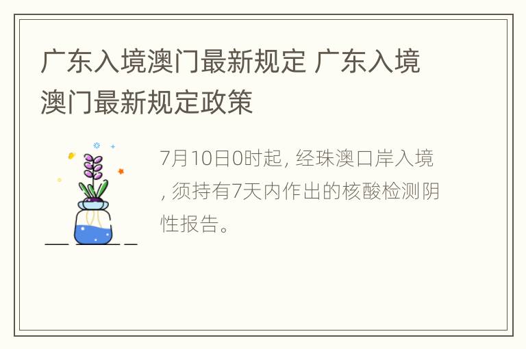 广东入境澳门最新规定 广东入境澳门最新规定政策