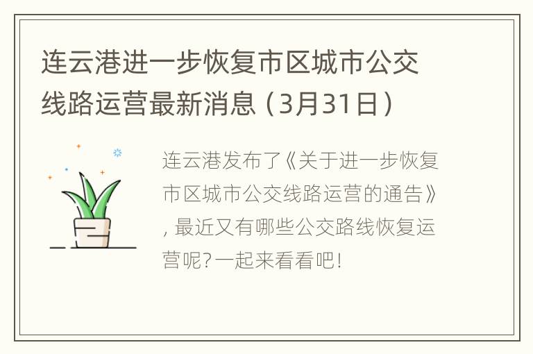 连云港进一步恢复市区城市公交线路运营最新消息（3月31日）