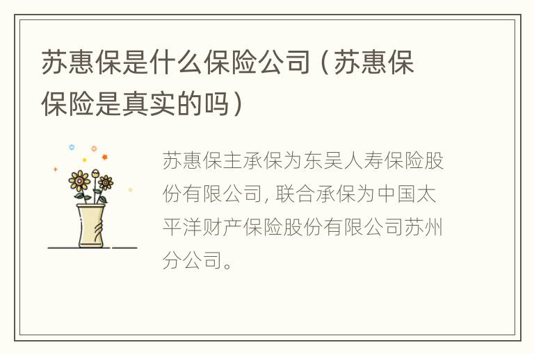 苏惠保是什么保险公司（苏惠保保险是真实的吗）