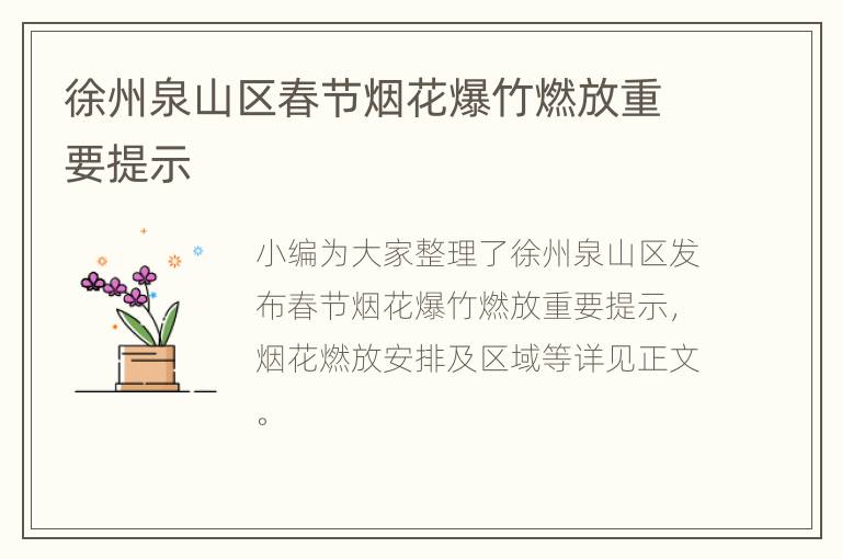 徐州泉山区春节烟花爆竹燃放重要提示