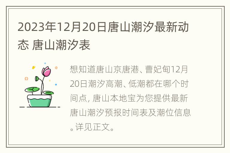 2023年12月20日唐山潮汐最新动态 唐山潮汐表