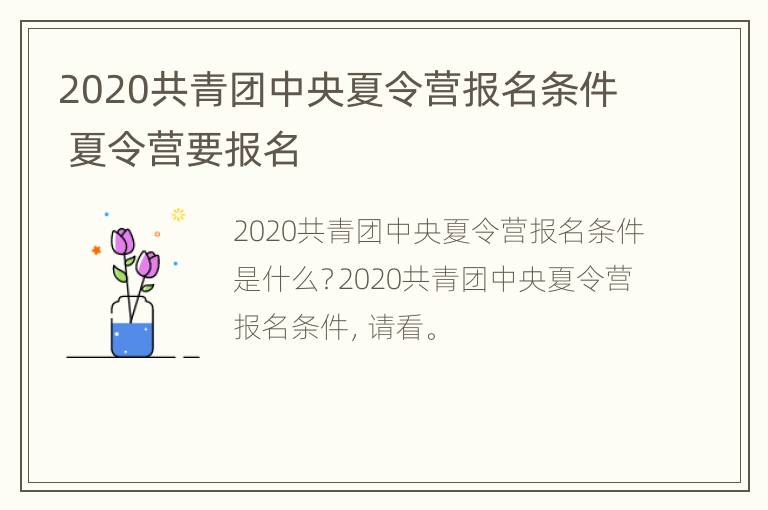 2020共青团中央夏令营报名条件 夏令营要报名