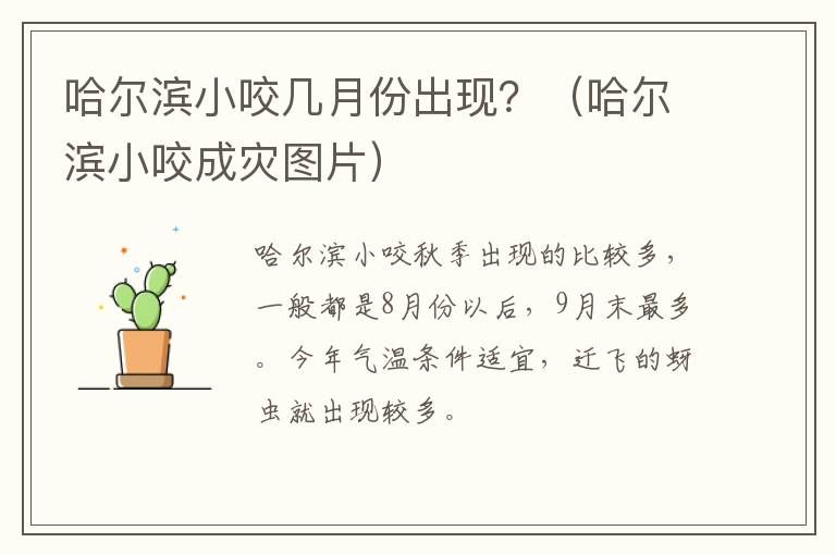 哈尔滨小咬几月份出现？（哈尔滨小咬成灾图片）