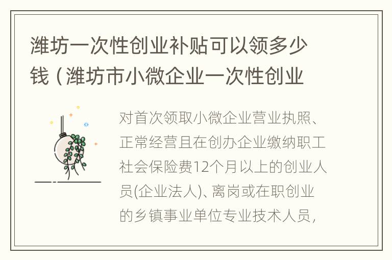 潍坊一次性创业补贴可以领多少钱（潍坊市小微企业一次性创业补贴）