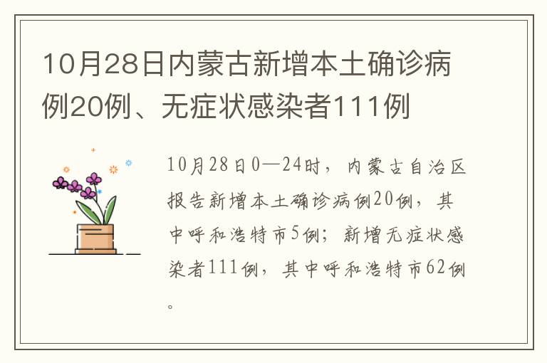 10月28日内蒙古新增本土确诊病例20例、无症状感染者111例