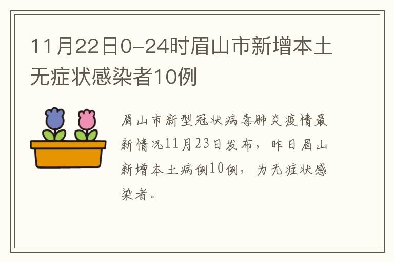 11月22日0-24时眉山市新增本土无症状感染者10例