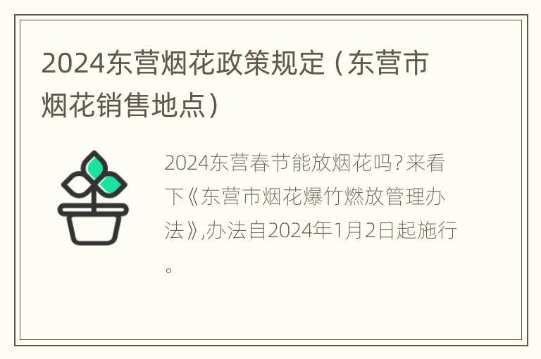 2024东营烟花政策规定（东营市烟花销售地点）