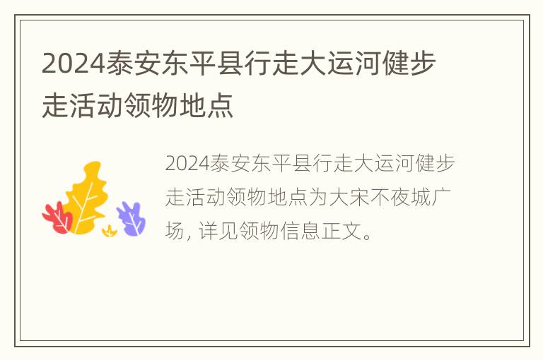 2024泰安东平县行走大运河健步走活动领物地点