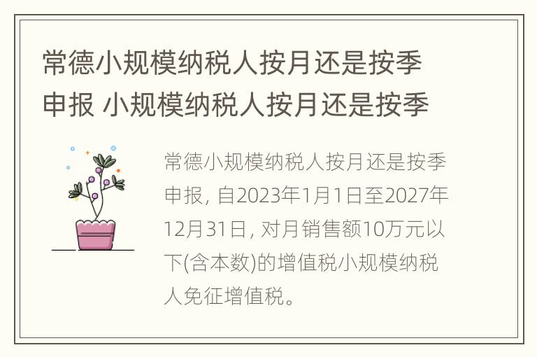 常德小规模纳税人按月还是按季申报 小规模纳税人按月还是按季度申报