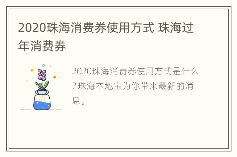 2020珠海消费券使用方式 珠海过年消费券