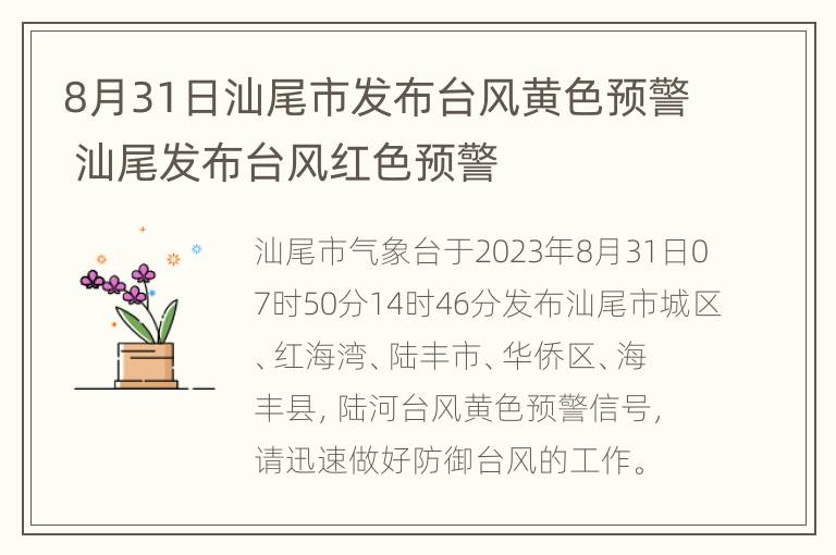 8月31日汕尾市发布台风黄色预警 汕尾发布台风红色预警