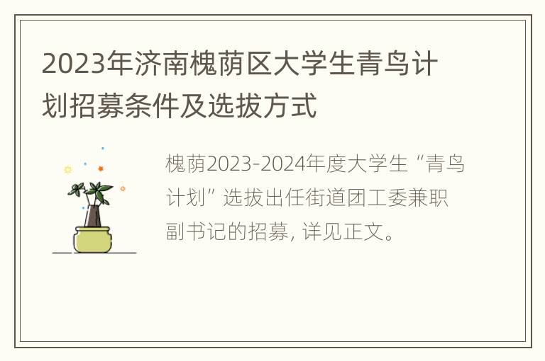 2023年济南槐荫区大学生青鸟计划招募条件及选拔方式