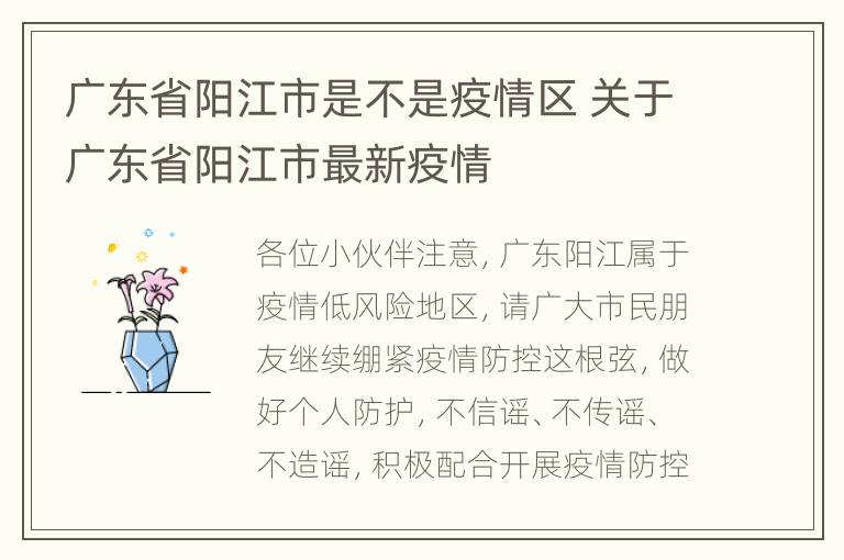 广东省阳江市是不是疫情区 关于广东省阳江市最新疫情